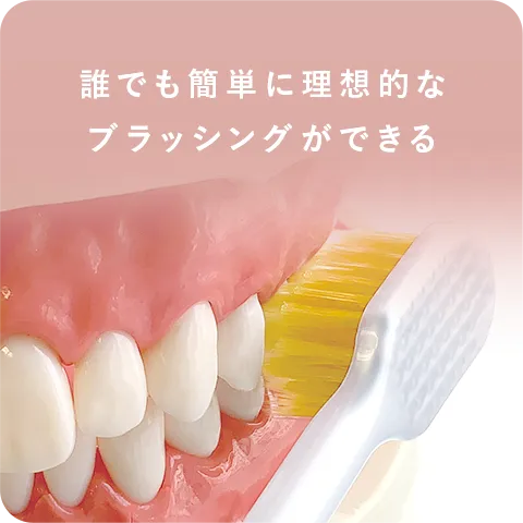 誰でも簡単に理想的なブラッシングができる